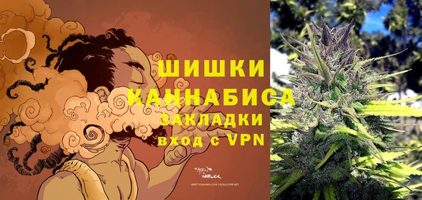 дживик Балахна