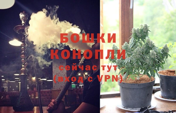 дживик Балахна