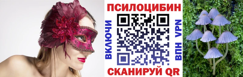 Галлюциногенные грибы прущие грибы  Сольвычегодск 